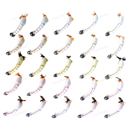 Муха донная Короед-типограф в ассортименте №06 Kumho