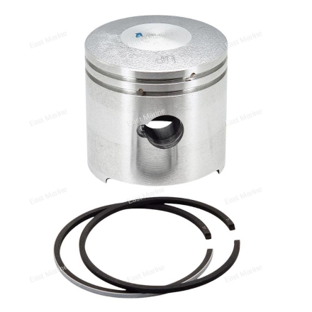 Поршень с кольцами T5-T6.2                   T5-05020200