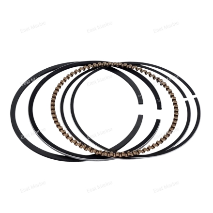 Кольца поршневые в сборе F4-F6   562-03006