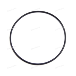 Кольцо уплотнительное  93211-04384