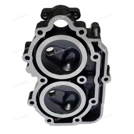 Головка блока цилиндров 9.9-15                  6E7-11111-01-1S