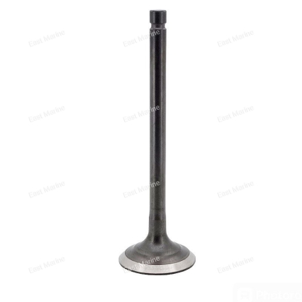 Клапан выпуска F25-F60    F25-05050002