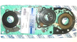 Прокладки, комплект Tiger Shark 639/644, 007-661