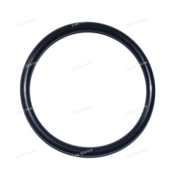 Кольцо резиновое 93210-66M98