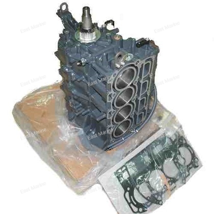 Блок цилиндров в сборе F80, F90, F100  99999-04187