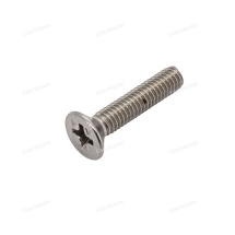 Винт с потайной головкой крестообразным шлицем M4*20        SF31865-6