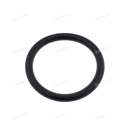 Кольцо уплотнительное 93210-20573