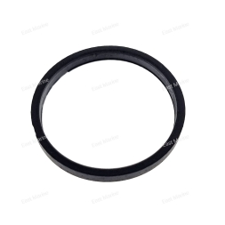 Кольцо уплотнительное              A00-62264-00