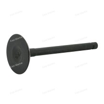 Клапан впускной F9.9B, F15B                 F15-07040001