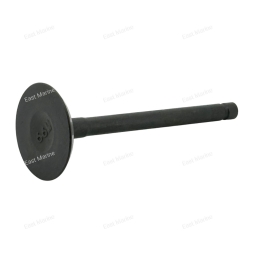 Клапан впускной F9.9B, F15B                 F15-07040001