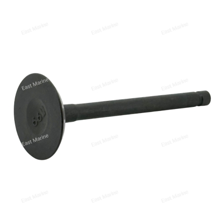 Клапан впускной F9.9B, F15B                 F15-07040001