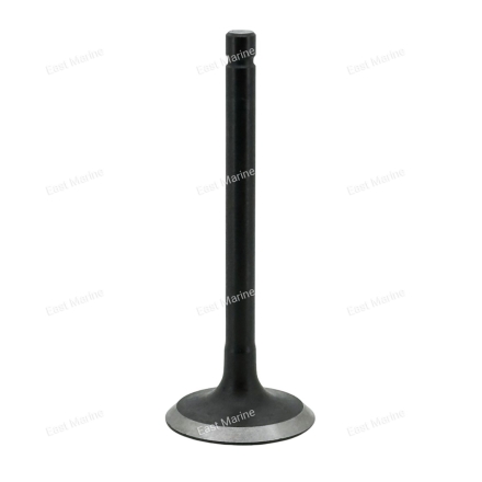 Клапан впускной F9.9B, F15B                 F15-07040001