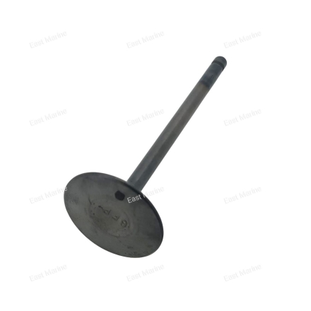 Клапан впуска F80D, F100F    6FP-12111-00