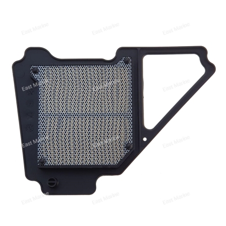 Фильтр воздушный YBR125               5VL-E4450-12