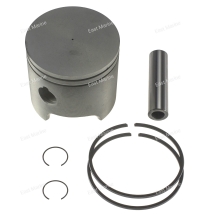 Поршень Johnson 35-60 (2-cyl)           100-100K