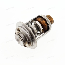 Термостат Johnson V6 200-250 Ficht             13180