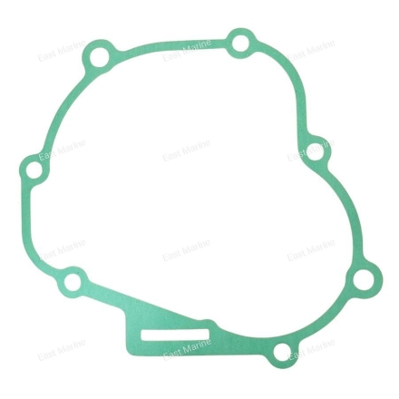 Прокладка цилиндра  F5              F4-01.06.16