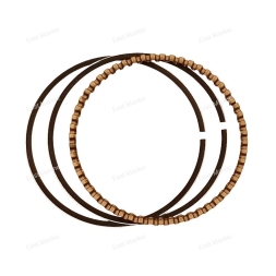 Кольцо маслосъёмное (стд) MFS2-MFS9.8      3V1-00013-0