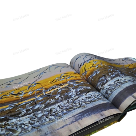 АКВАТОРИЯ - книга о заливе Петра Великого