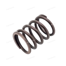 Пружина клапана F6      F6-01.05.00.23