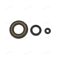 Сальники мотора (к-т)    Yamaha  Mountain MAX,  SX Venom, Venture,  SX600R, VMAX, SX700