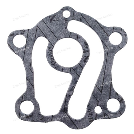 Прокладка пластины помпы 30-55  663-44324-00