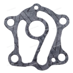 Прокладка пластины помпы 30-55  663-44324-00