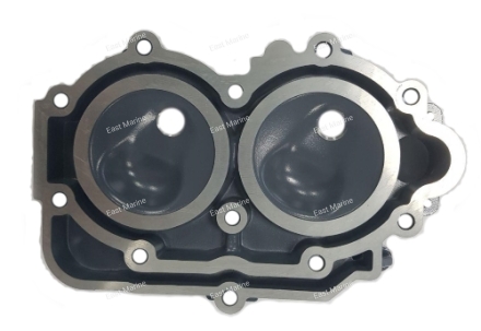 Головка блока цилиндров 9.9-15        6E7-11111-01-1S