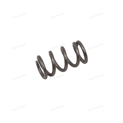 Пружина 646-14212-01