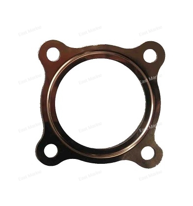 Прокладка под головку цилиндра PW50     517-11181-01