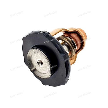 Термостат F80D, F100F    6FP-12411-00