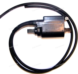 Катушка высоковольтная Sea-Doo 580-800 004-178