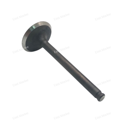 Клапан выпуска F6              F6-04050002