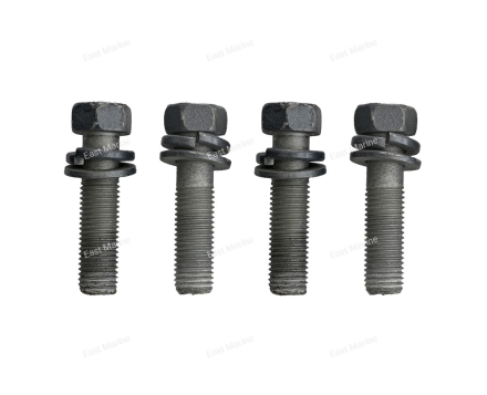 Набор крепежных болтов для редуктора Yamaha 40X,40V,50H