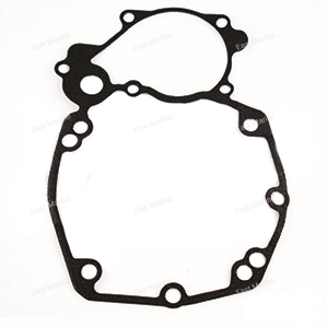 Прокладка Tiger Shark 900/1000/1100, 007-447