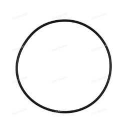 Кольцо уплотнительное 9.9-20         F15-06080003