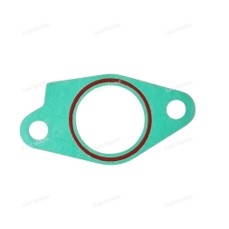 Прокладка впуска  F6                   F6-01.02.00.01