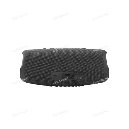 Портативная акустическая система JBL Charge 5 (черная) 
