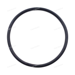 Кольцо уплотнительное  93210-42159