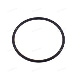 Кольцо резиновое   65W-43865-00