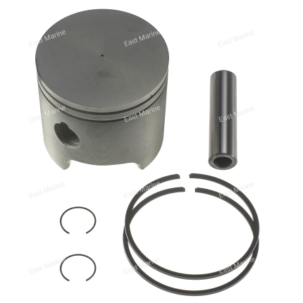 Поршень Johnson 35-60 (2-cyl) 100-100-05