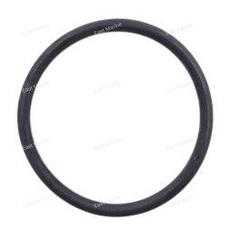 Кольцо уплотнительное 20D, 25N, F20A-F25, 25B, 30H 93210-45161