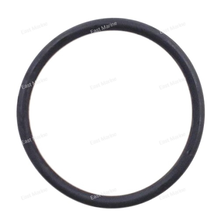 Кольцо уплотнительное 20D, 25N, F20A-F25, 25B, 30H 93210-45161