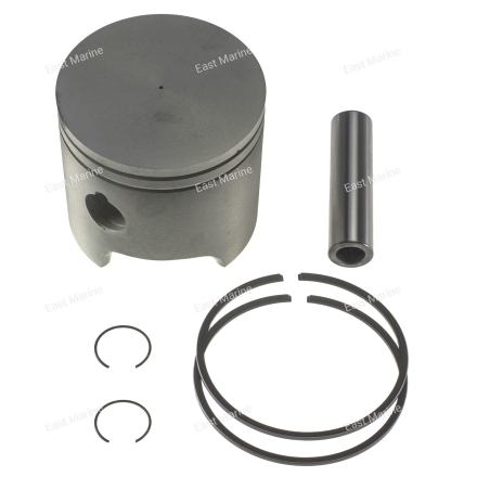 Поршень Johnson 35-60 (2-cyl)           100-100-06K