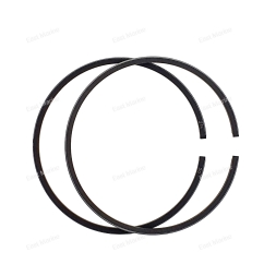 Кольца поршневые 0.25m 12140-93121-025 (DT9.9/15)