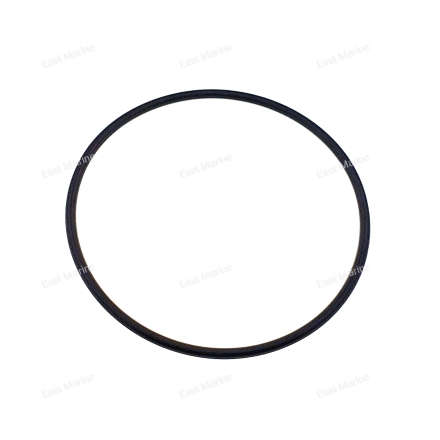 Кольцо уплотнительное статора мотора 6C5-43869-00