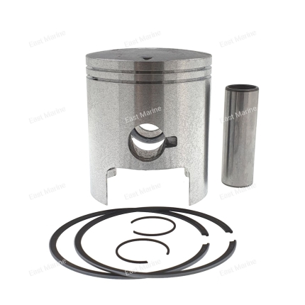 Поршень Polaris 650, 0.5, 010-831-05