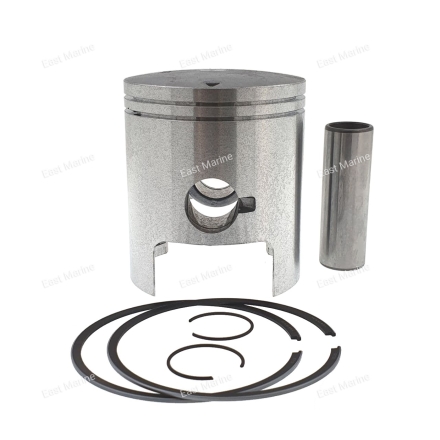 Поршень Polaris 650, 0.75, 010-831-06