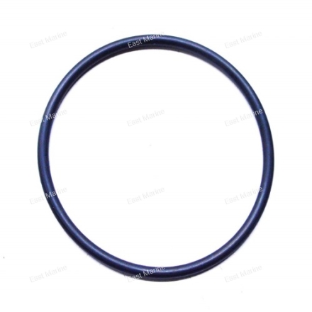 Кольцо уплотнительное  93210-57M09