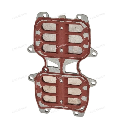 Клапана впуска в сборе  40F            40F-01.06.02.00